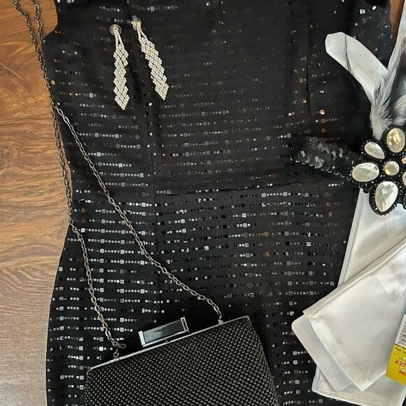 Roaring 20’s Flapper Costume and Accessories Halloween - Picture 2 of 8